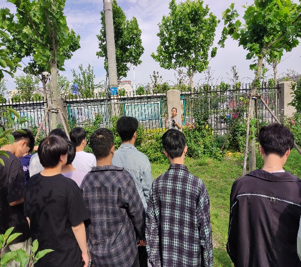 心育五月 爱如繁花(图9)