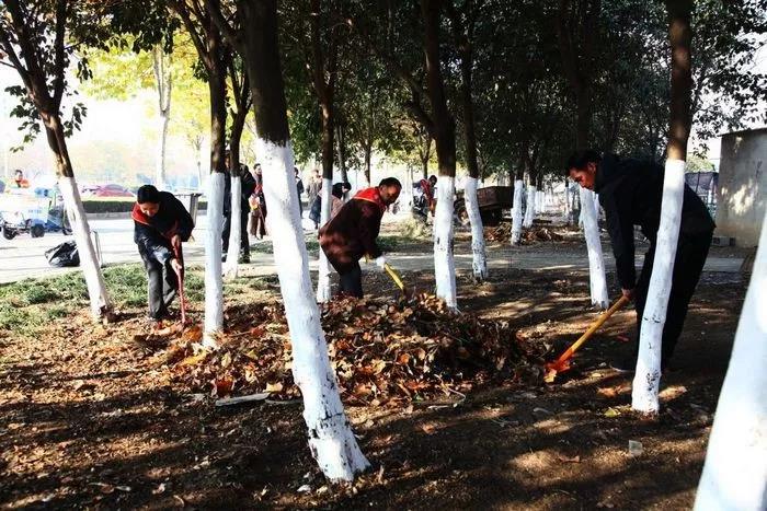 宿州工业学校组织党员开展志愿者服务活动(图3)