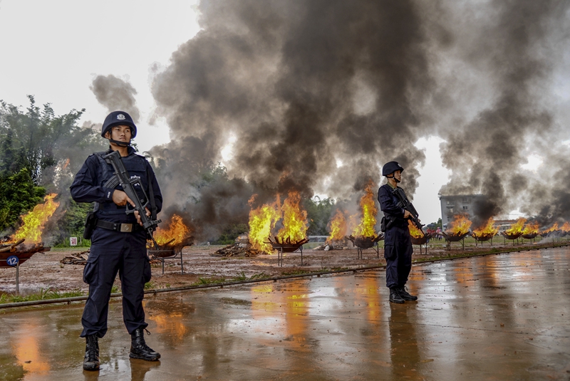 国际禁毒日，习近平总书记强调什么(图3)