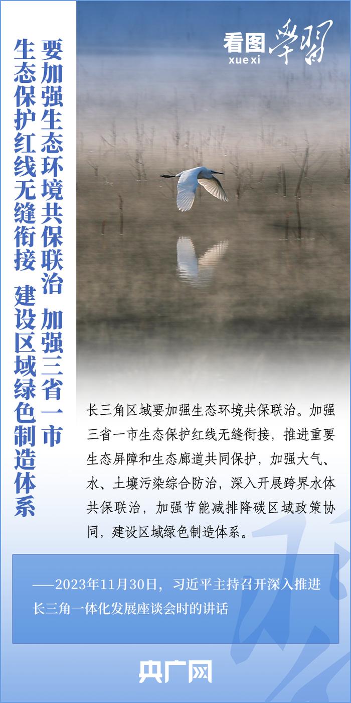 看图学习丨如何深入推进长三角一体化发展 总书记作出重要指引(图7)