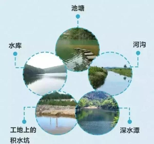 防溺水安全教育|珍爱生命，预防溺水(图2)