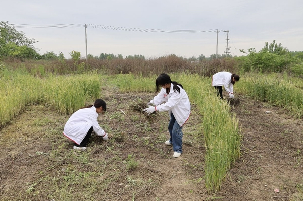  种“字”让劳动教育观念种在学生”心里”(图1)