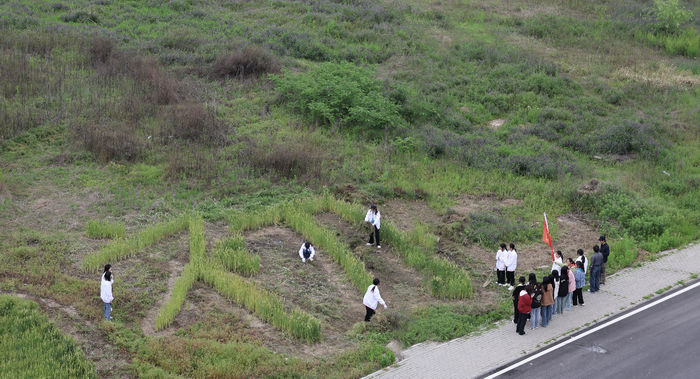 种“字”让劳动教育观念种在学生”心里”(图3)