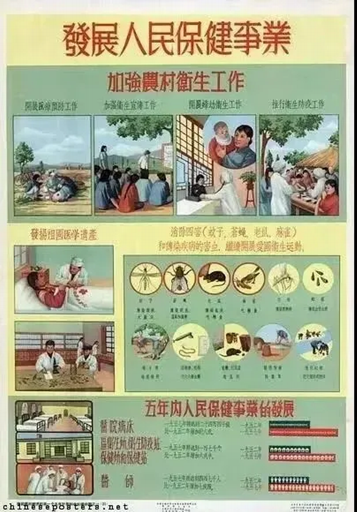 爱国卫生月｜全国第36个爱国卫生月——健康城镇，健康体重(图4)