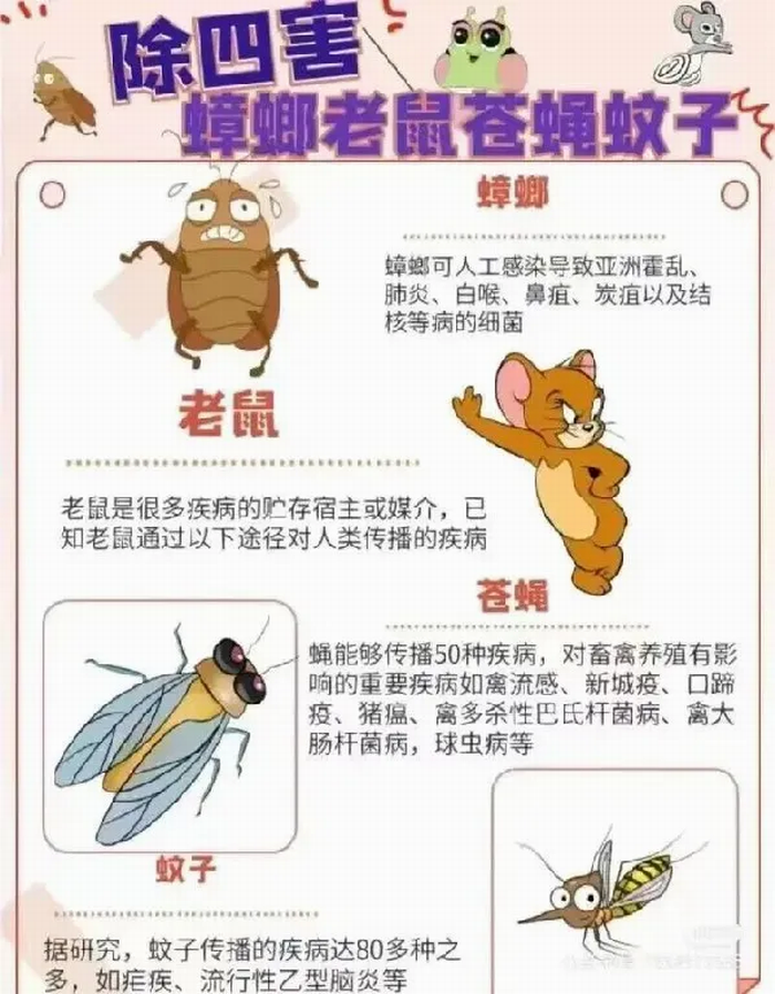 爱国卫生月｜全国第36个爱国卫生月——健康城镇，健康体重(图9)