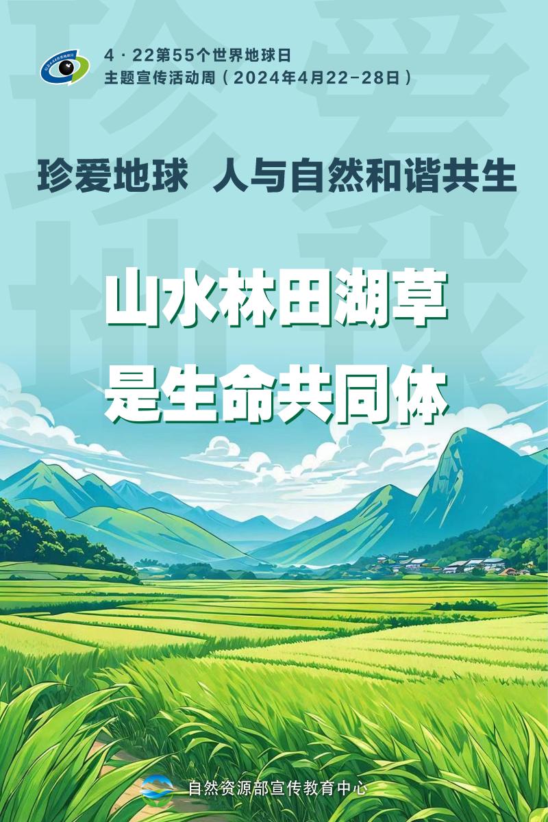 第55个世界地球日主题宣传活动周海报(图4)
