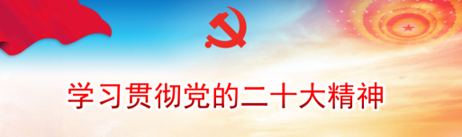 学习贯彻党的二十大精神